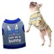 thumbnail image 5 of 4 piezas de ropa para mascotas de otoño e invierno, suministros para mascotas, tela polar, chaleco para perros pequeños "conejo" 658, 5 of 5
