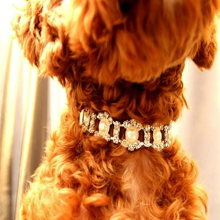WHAMVOX White Pearl Crystal Pet Necklace for Decoration Durable Dog Jewelry Perfect for Parties and Events