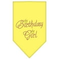 thumbnail image 6 of Dog Supplies Birthday Girl Rhinestone Bandana Red Small, 6 of 10