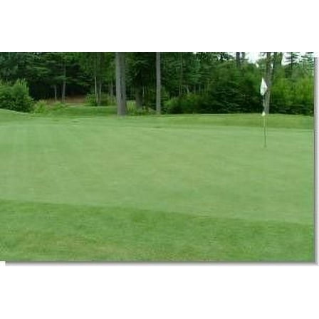 Pennington 13M Golf Course Creeping Bentgrass Seed, 1lb