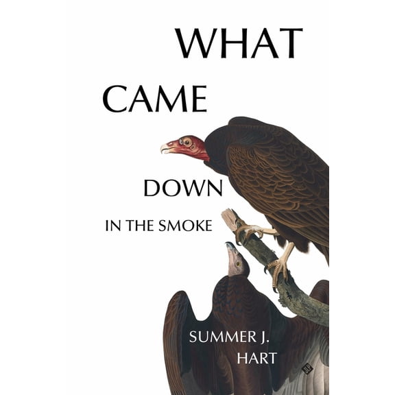 What Came Down in the Smoke, (Paperback)