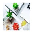 thumbnail image 3 of Set 4 de Suculentas Planta Artificial Decorativa, 3 of 3