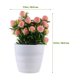 thumbnail image 2 of IDEANATEGRATE Planta Falsa En Maceta Con Duraznos Decorativa Para Interiores Y Repisas, 2 of 6