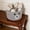Gray, variant on RYDCOT Bear Cute Basket, Woven Cotton Rope Storage Basket, Blanket Organizer with Handles, Storage Basket for Blanket Towel Toys Clothes, Teddy Bear Decor