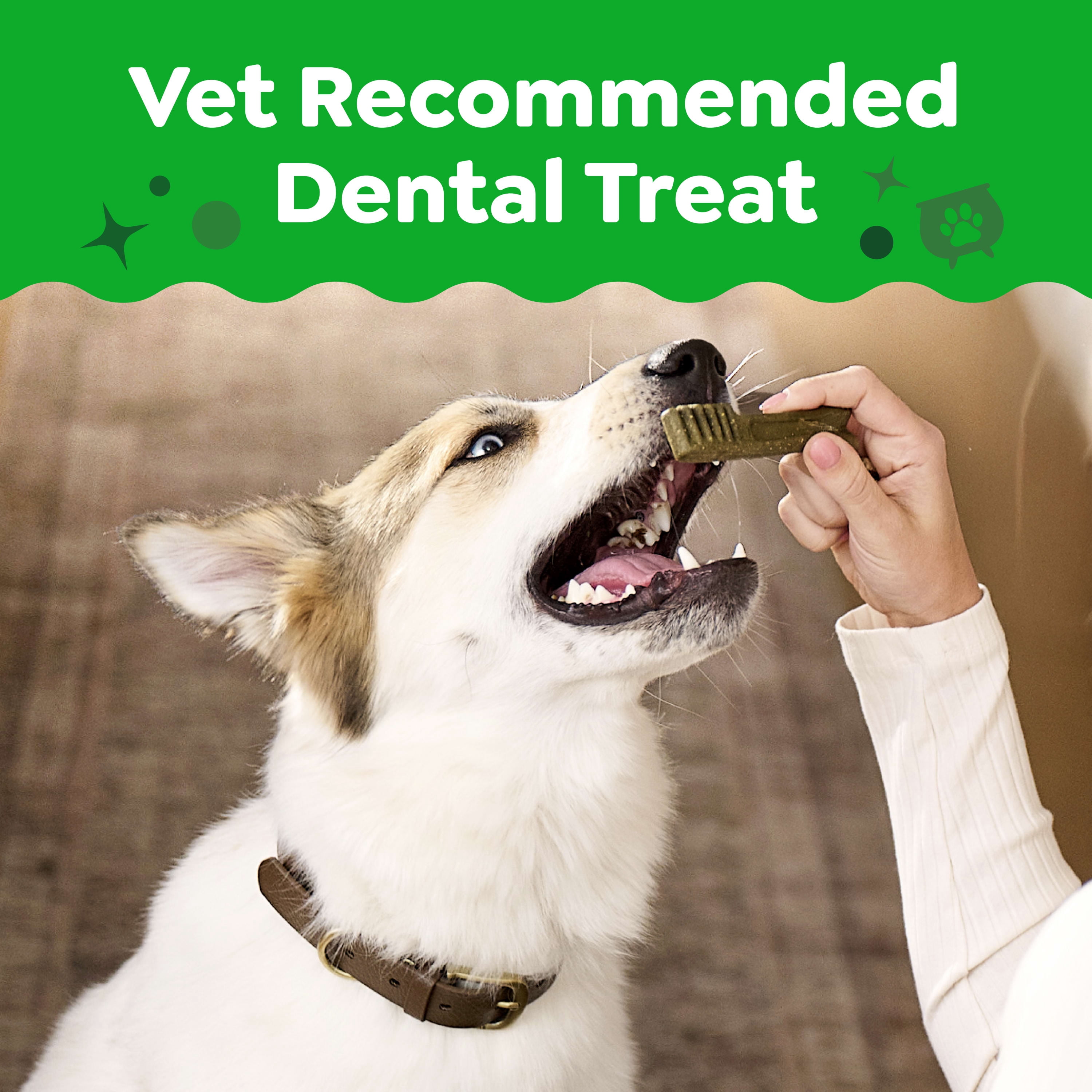 Greenies Pumpkin Spice Flavor Adult Natural Dental Dog Treats Regular Size, 12 oz Pack (12 Count)