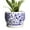 White Porcelain, variant on 6 inch Ceramic Planter Blue Glaze with Drainage Hole and Saucer for Orchids and Indoor Plants