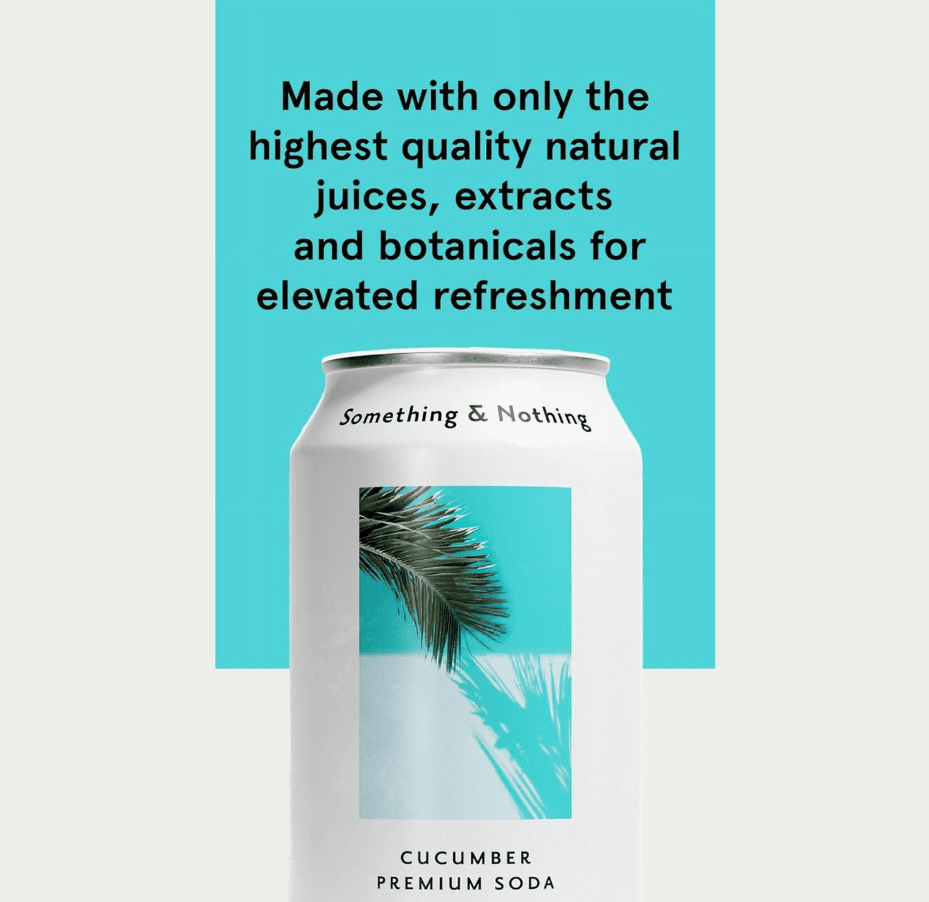 Something & Nothing Lightly Carbonated Cucumber Premium Soda Case of 12 x 12 Fl Oz