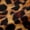 Brown Black, variant on Erosebridal Teens Abstract Leopard Print Black Out Curtains,Gradient Cheetah Print Curtains Pack of 2 (42x63 Each) For Adults