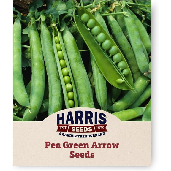 Harris Seeds - Pea Seeds - Treated Green Arrow Non-GMO Sweet Tender Deep Green - 100 Seeds