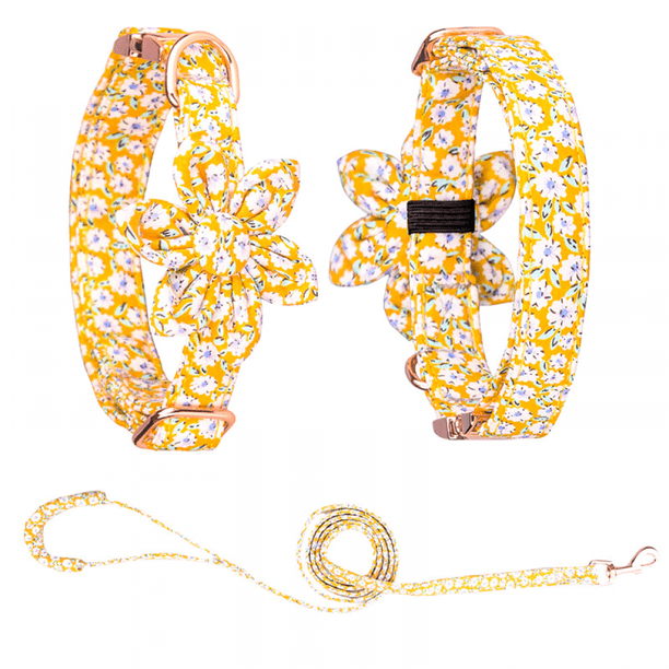 SAYTAY Girls Dog Collars and Leashes, Dog Collars with Detachable