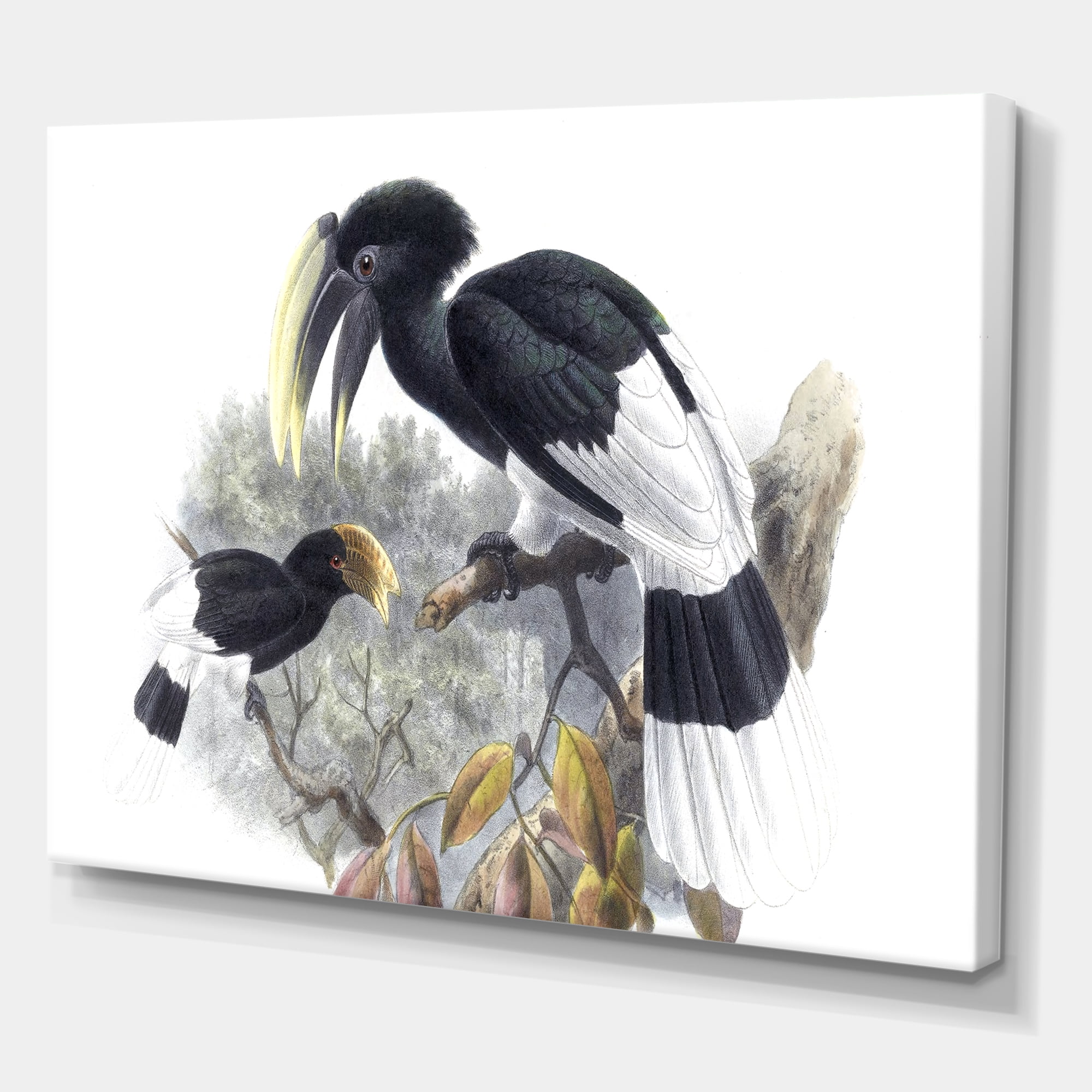 Designart ' Ancient Bird Illustration I ' Traditional Canvas Wall Art Print