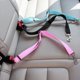 thumbnail image 4 of Typpkmm Adjustable Pet Dog Car Seat Belt Pet Seat Vehicle Dog Harness Lead Clip Safety Lever Traction Dog Collars, 4 of 7