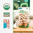 Organic Pearl and Golden Oyster Mushroom Grow Kit Grow Your Own Mushrooms at Home 2 Count
