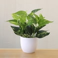 thumbnail image 4 of Zhaomeidaxi Mall Faux Eucalyptus Plants Potted, Artificial Plants in Pot Fake Green Plant Bonsai with Pot for Office, Home, Kitchen, Table Indoor Decor, 4 of 4