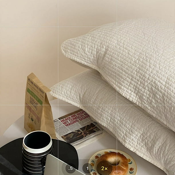 Nvzi fundas de almohada acolchadas de algodón lavado con arena. Comienza la noche de tus sueños con esta cómoda y transpirable funda de almohada de 19,69 x 29,53 pulgadas (blanca).