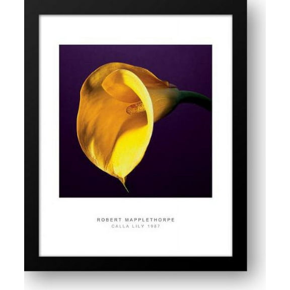 Calla Lily, 1987 20x24 Framed Art Print by Mapplethorpe, Robert
