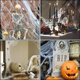 thumbnail image 5 of Halloween Decoration Spider Web 700 Square Feet 100G with 20 Spiders, Halloween Horror Decoration, Halloween Party Decoration for DIY Indoor Table, Wi, 5 of 5