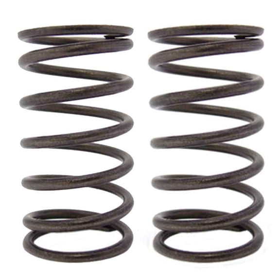 18 LB Valve Springs (Pair) Fits Honda GX200, Predator 212 Non-Hemi