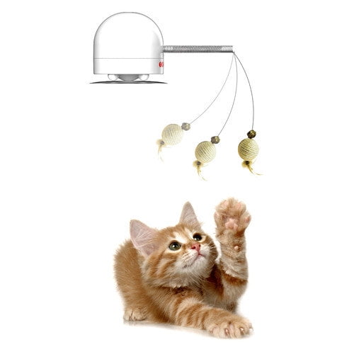 frolicat twitch