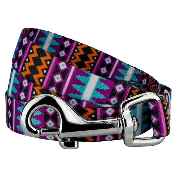 Country Brook Design - 1/2 inch Santa Fe Dog Leash - 4 Foot