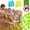 C001- Multicolor (Yellow), variant on Mosquito, Mosquito, Adhesive, 1.1 in Circular, Lemon Yellow, 1 Pc, Camping Hiking, Blocking, Single Pack Stick-On Dots