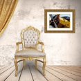 thumbnail image 3 of Allen, Kimberly 32x23 Gold Ornate Wood Framed with Double Matting Museum Art Print Titled - Propeller, 3 of 4