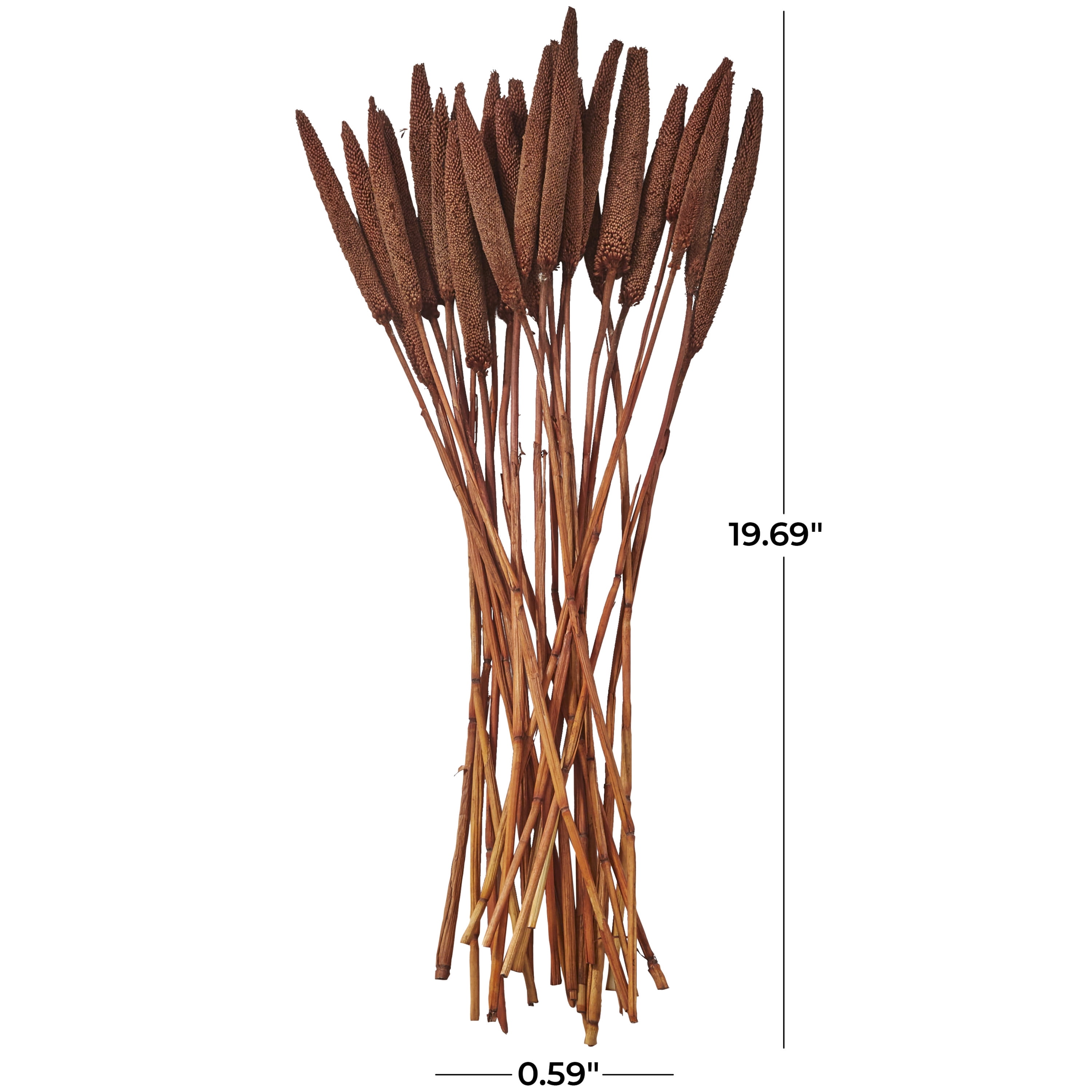 20" Dried Plant Natural Foliage Bunny Tail Bouquet with Long Stems, by DecMode