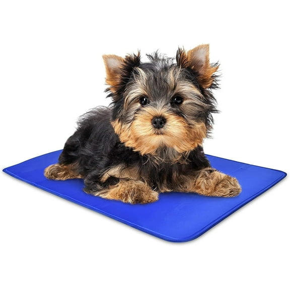 Arf Pets PVC Cooling Mat for Dogs and Cats, Blue, Extra Small
