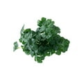 thumbnail image 1 of Planta verde artificial no marchita, llamativa, realista, anticaída, fondo decorativo, adorno de hierba de cuatro hojas, planta falsa, decoración del hogar., 1 of 7