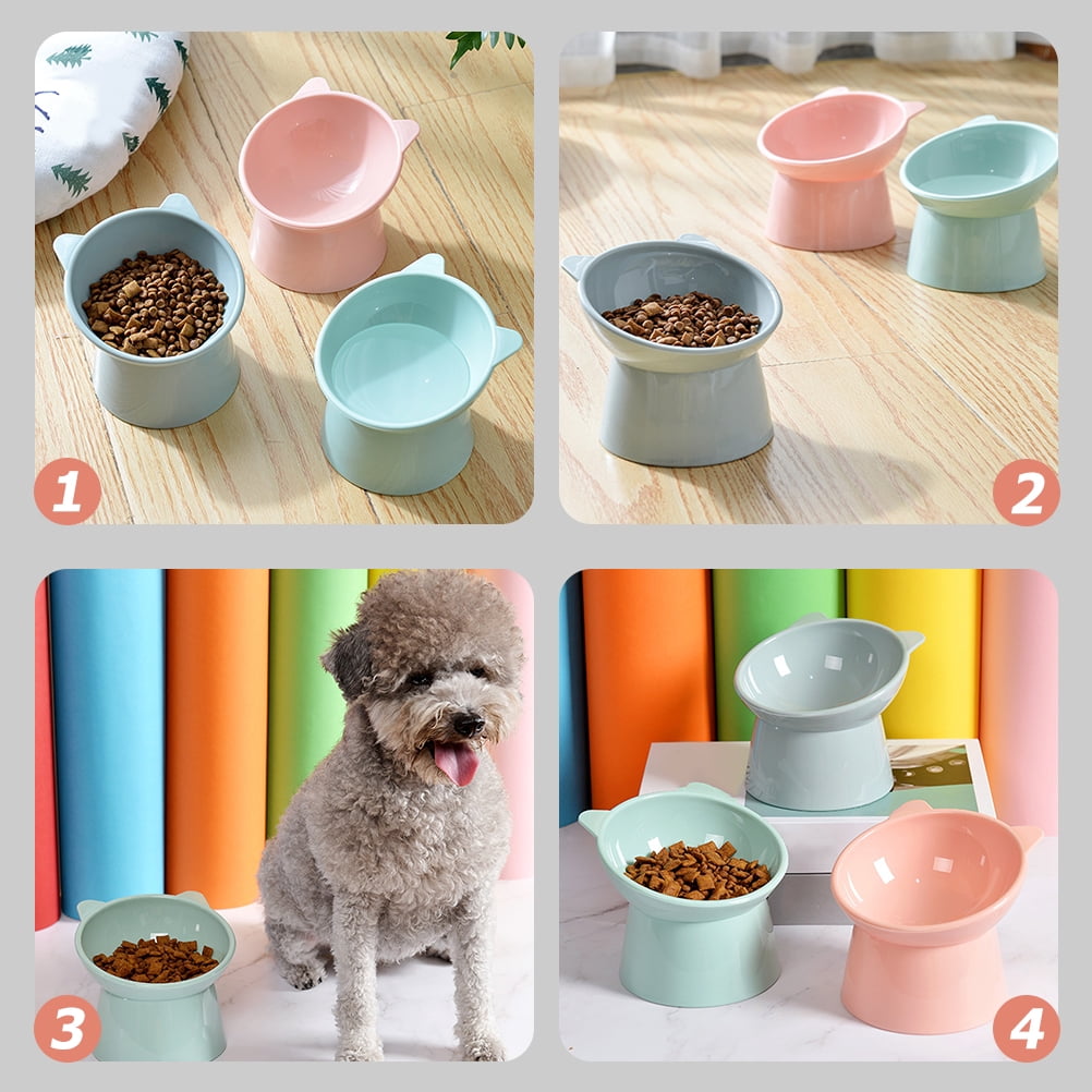 Cat Bowl Bowls Elevated Tilted Food Pet Raised Slow Feeder Dish Small Dog