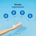 thumbnail image 4 of Cepillos Dentales de Bambú | Kit de 10 piezas | Cerdas Medias de Nylon sin BPA | B Life, 4 of 7