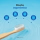 thumbnail image 4 of Cepillos Dentales de Bambú | Kit de 10 piezas | Cerdas Medias de Nylon sin BPA | B Life, 4 of 7