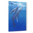 thumbnail image 2 of Epic Art 'Under Sea Whales I' by Tim O'Toole, Acrylic Glass Wall Art, 16"x24", 2 of 3