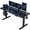 Carbon Fiber Black, variant on Electric Standing Desk with Memory Controller, Adjustable Height Sit Stand Desk, Quiet Motor, Heavy-Duty Steel Frame, 201 lb Capacity