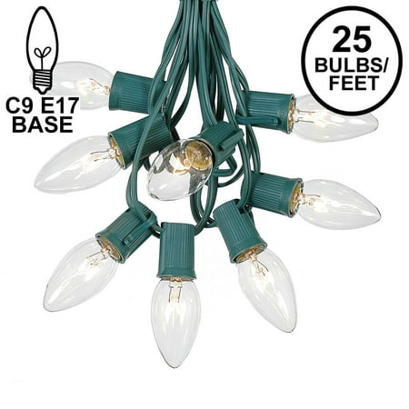 25 Foot C9 Twinkle Outdoor Patio Christmas String Light Set, Green Wire, 25