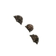 thumbnail image 4 of tamizeot 3X Plant Vase Risers Planter Elevator Lawn Patio Plant Stand Porch Pot Feet Rabbit 4.5x4.3x2cm Turtle 6x3.8x2.8cm, 4 of 6