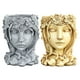 thumbnail image 1 of 2 piezas cara escultura cabeza maceta macetas suculentas decoración interior, 1 of 9