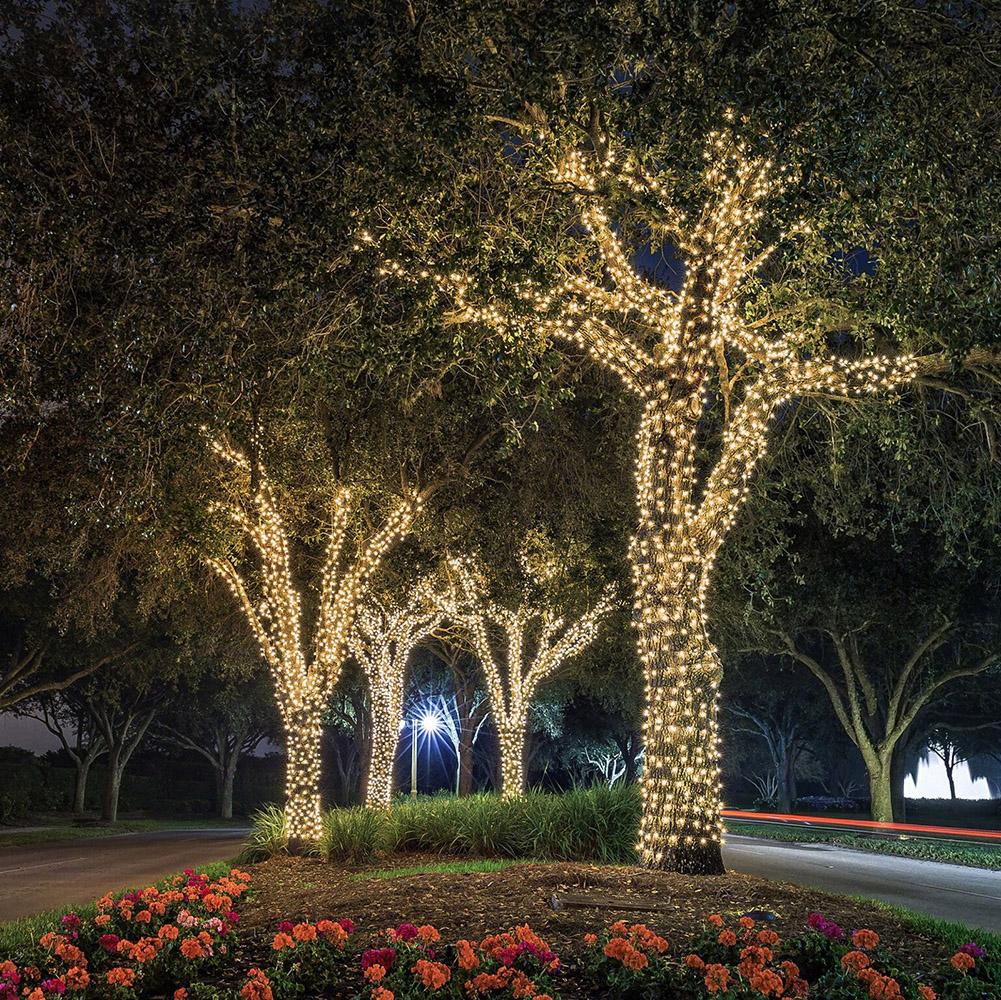 Fairy Lights Warm Light
