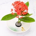 thumbnail image 2 of Kit de Jarrón Japonés para de 4 cm con Forma de Rana de Flores, de Cerámica para Arreglos Florales, con Base y Herramienta Fija para Flores A, 2 of 5