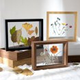 thumbnail image 2 of HLONK Double-sided Specimen Display Frame Glass Dried Flower Holder Frame Picture Frame, 2 of 6