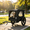 Black, variant on Weetoo Pet Bike Trailer, Outdoor Foldable Dog Carrier with 16" All-Terrain Wheels, Orange
