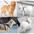 thumbnail image 4 of Arnés de correa para perros, conjunto de collar ajustable, chaleco vaquero con correa para mascotas para perros pequeños, medianos y grandes, correa para gatos y mascotas para entrenamiento de caminat, 4 of 5