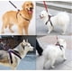 thumbnail image 4 of Arnés de correa para perros, conjunto de collar ajustable, chaleco vaquero con correa para mascotas para perros pequeños, medianos y grandes, correa para gatos y mascotas para entrenamiento de caminat, 4 of 5