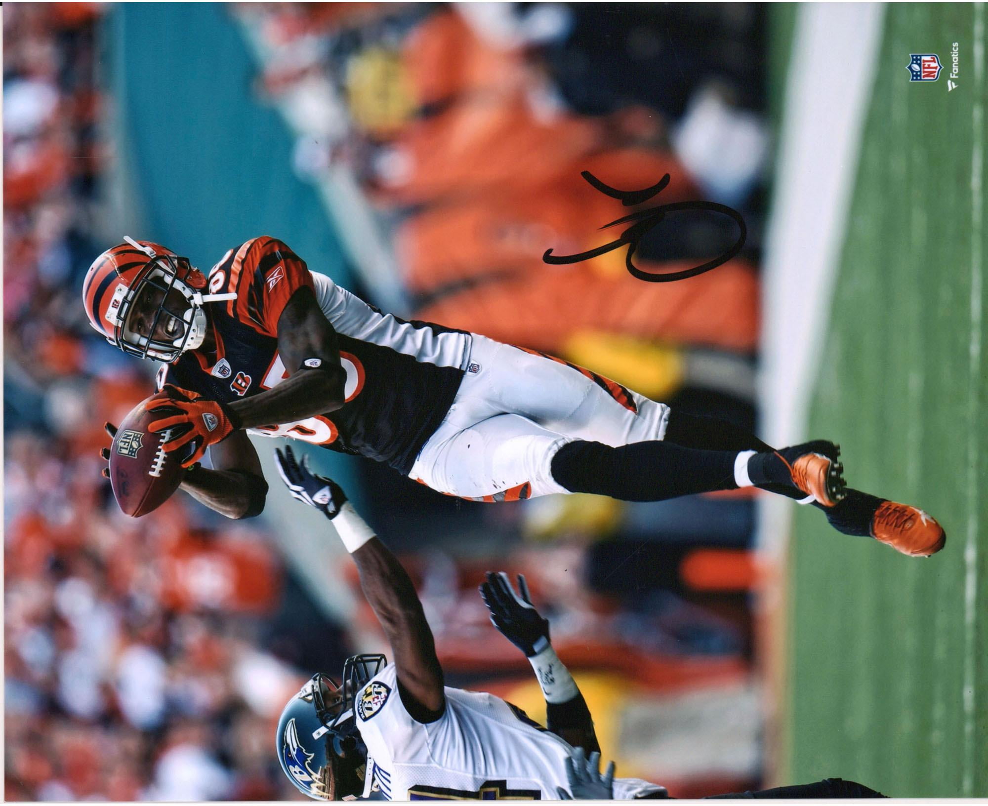 Chad Johnson Cincinnati Bengals 