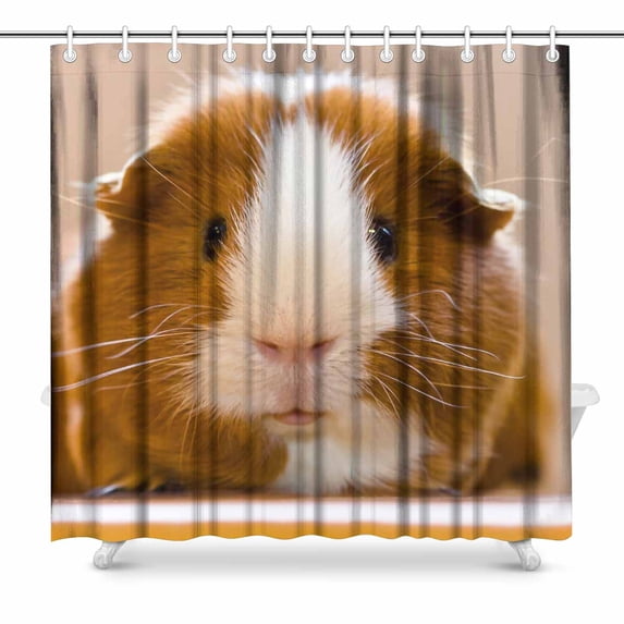 SUNENAT Guinea Pig Dutch Rats Cute Animal Waterproof Polyester Shower Curtain Bathroom Sets 72(Wide) x 72(Height) Inches