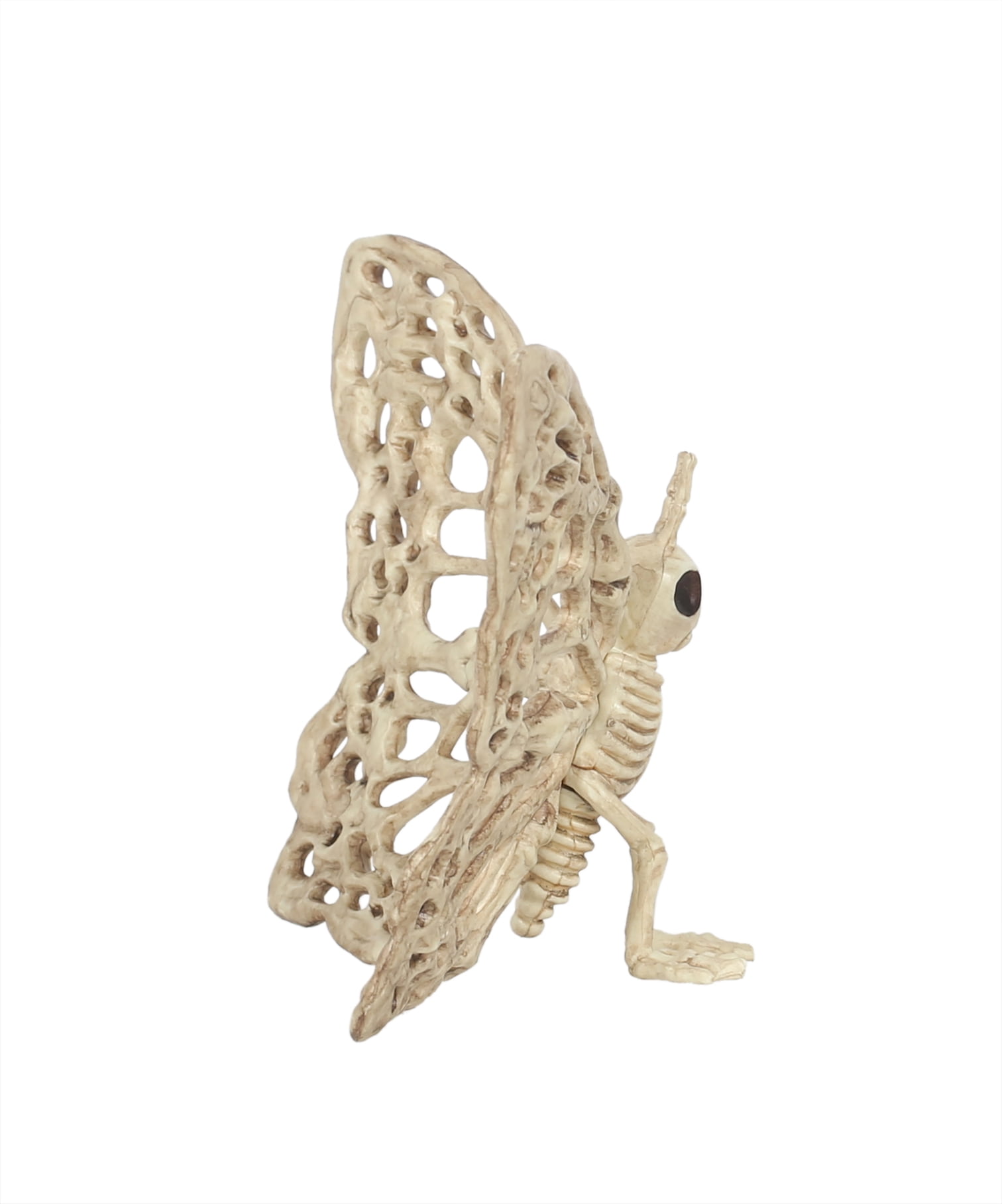 Way To Celebrate Halloween Skeleton Butterfly