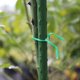 thumbnail image 3 of 100m Garden Ties For Plants, Plastic Plant Organizer Clerk Graft Tie Wire For Gardening, Multipurpose Metal Cable Ties (green), 3 of 5