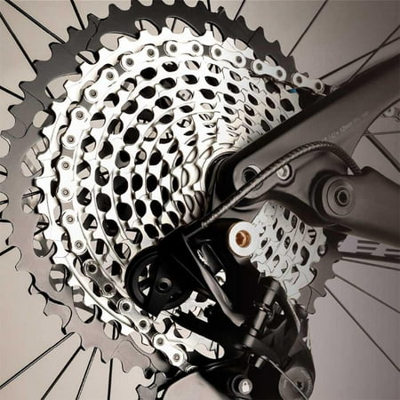 1984 schwinn predator