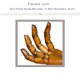 thumbnail image 4 of Modelo de mano de madera articulada para arte yangjietf, 4 of 6