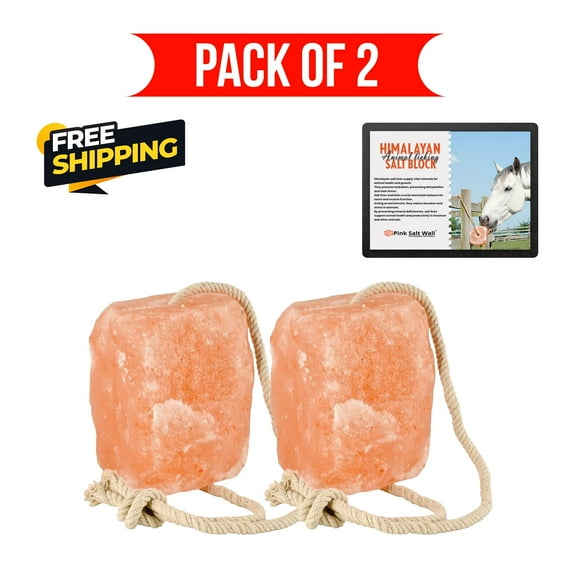 Himalayan Salt Blocks with Rope for Deer, Horses & Pets